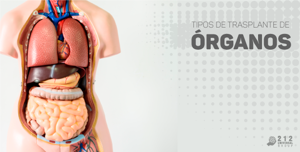 tipos_de_transplante_de_organos-212universalgroup